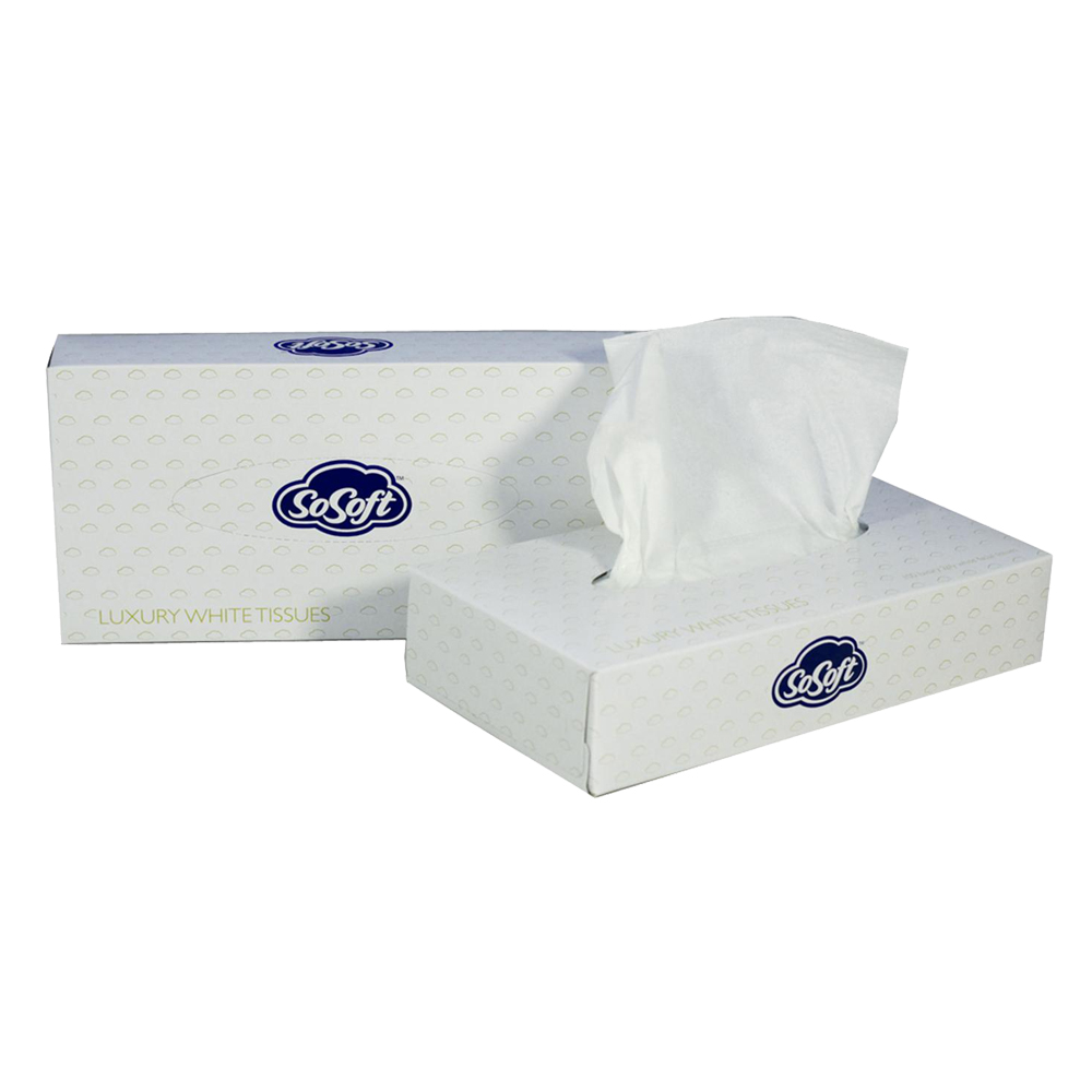 Tissues 24 x 100 - Smudge & Dribble